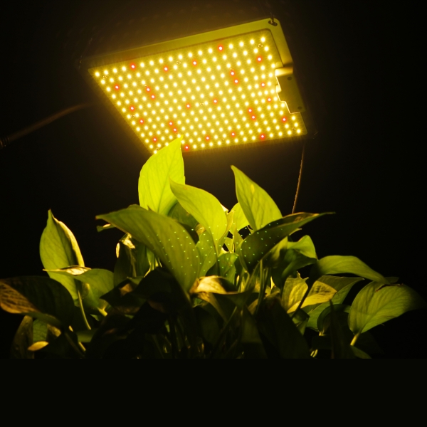 LED Panel Plant Grow Light Full Spectrum Commercial Indoor